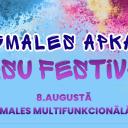 Attēls rakstam: 8.VIII Daugmales apkaimes svētki "Krāsu festivāls"