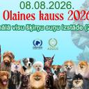 Attēls rakstam: 8.VIII Visu šķirņu suņu izstāde "Olaines kauss 2026" Olainē