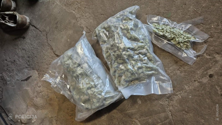 Video: Pierīgas mežā ar narkotikām aizturēts jaunietis; policija atsavinājusi deviņus kilogramus marihuānas