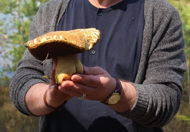 Aculiecinieka foto: Raganas rudens velte maija beigās