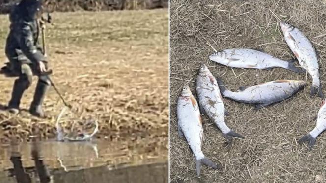 Attēls rakstam: Ādažu novadā pieķerts nelegālais makšķernieks, kas nodarbojās ar cemmerēšanu