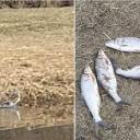 Attēls rakstam: Ādažu novadā pieķerts nelegālais makšķernieks, kas nodarbojās ar cemmerēšanu