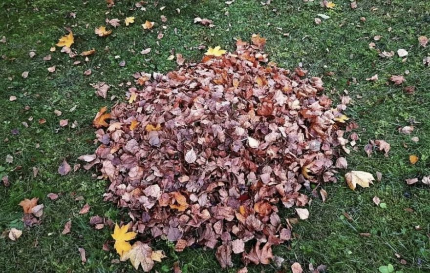 Ādažu novadā sāksies lapu un zāles nodošanas akcija