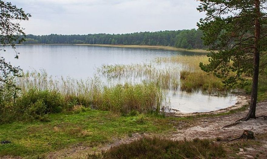 Ādažu pašvaldība plāno iegādāties zemūdens dronu par aptuveni 9000 eiro