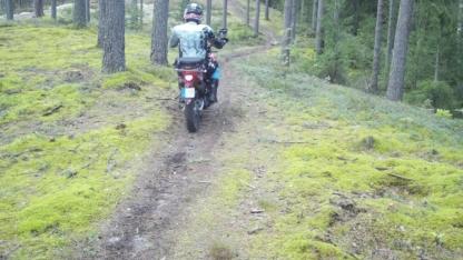 Attēls rakstam: Ādažu pašvaldības policija krata ar pirkstu: pa mežiem ar motocikliem un kvadracikliem braukt nedrīkst!