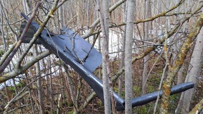 Attēls rakstam: Aizsardzības ministrija: Krievija īsteno apjomīgu informācijas operāciju pret Baltijas valstīm