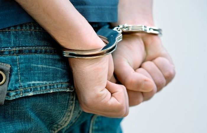 Aizturēts rūdīts garnadzis no Igaunijas, kurš veicis zādzības no privātmājām Jūrmalā