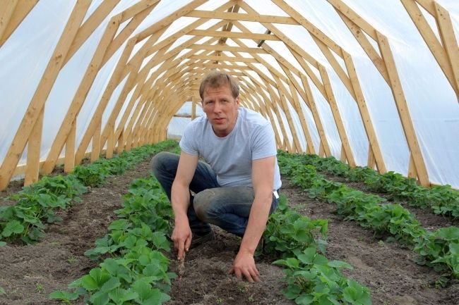 Andris Mangulis Daugmalē: Bioloģiskais dārznieks nedrīkst kļūdīties