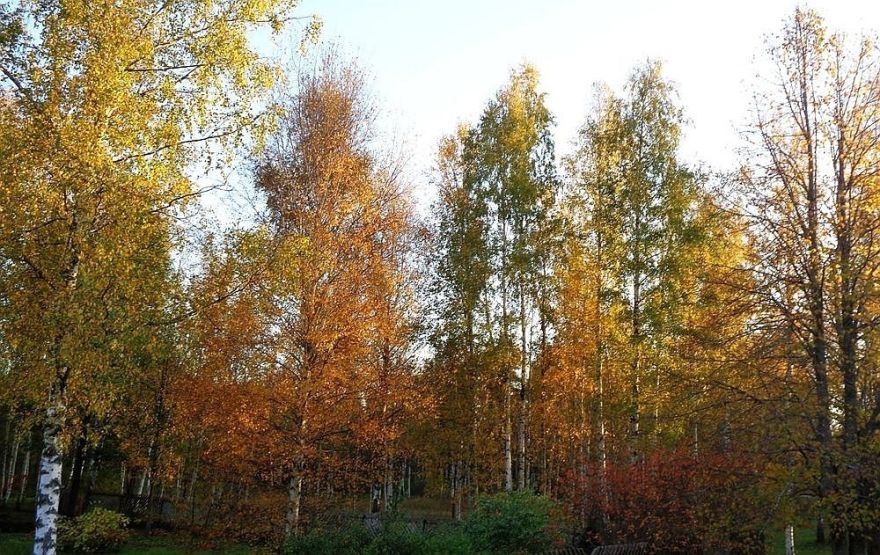 Aptauja Ogrē. Kas jūs pēdējā laikā visvairāk iepriecinājis?