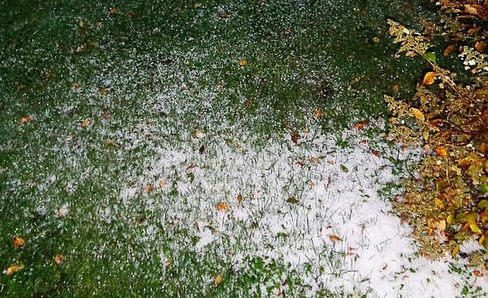Aptauja Stopiņos. Kā vērtējat šā rudens laikapstākļus?