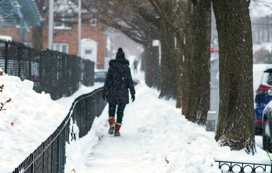 Aptauja. Vai jūs apmierina dzīve pagastā?