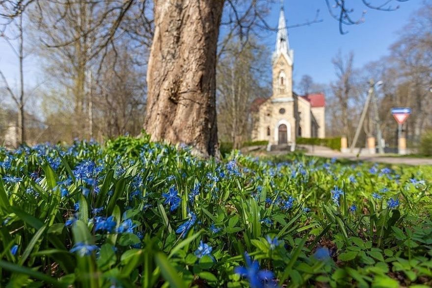 Aptauja. Vai jūtat pavasara nogurumu? Kā ar to cīnāties vai sadzīvojat?