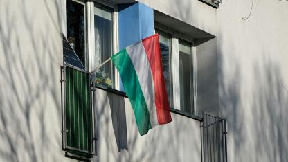 Attēls rakstam: Aptauja. Vai sekojat līdzi notikumiem Ungārijā?