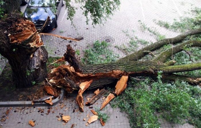 Aptuveni 5000 "Sadales tīkla" klientiem Rīgā un Siguldā traucēta elektroapgāde