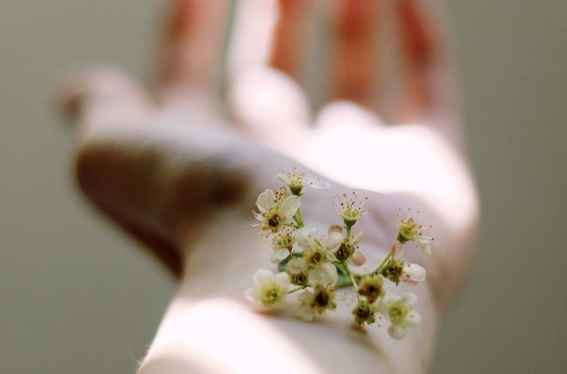 Atopiskais dermatīts – kā un kur to ārstēt?