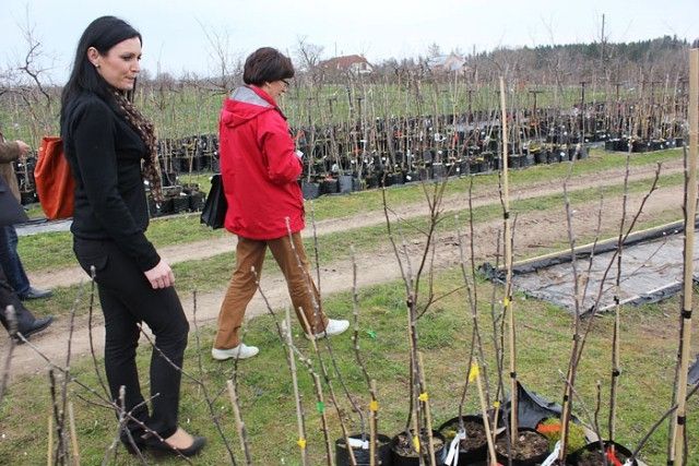 Attīstītāko pašvaldību topa augšgalā – Pierīgas novadi