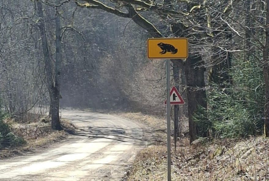 Autovadītājiem jābūt uzmanīgiem: krupju migrācijas vietās Pierīgā un citviet uzstādītas informatīvas zīmes