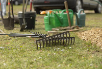 Foto: "Roku rokā Latvijai!" Ķekavas novada pašvaldības darbinieki talko Mercendarbes muižas parkā