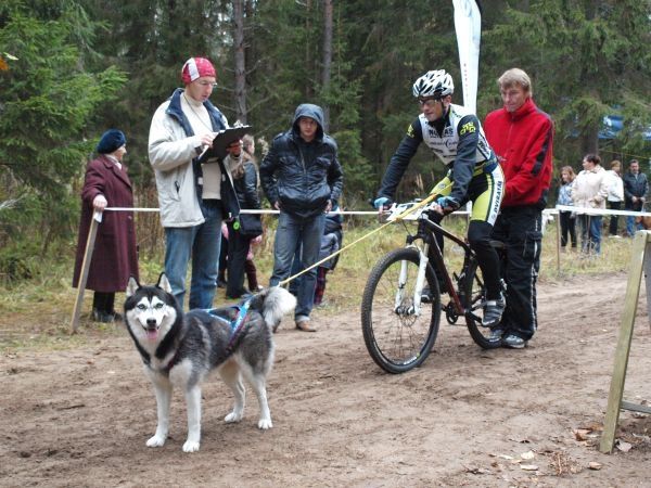 Baldonē aizvadītas Baltijas mēroga kamanu suņu sacīkstes