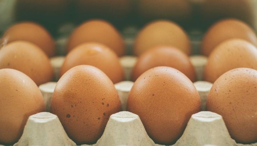 "Balticovo" plāno ieguldīt miljonu eiro olu vārīšanas, plēšanas un pakošanas līnijā