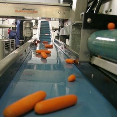 "Baltijas dārzeņi" par 140 tūkstošiem eiro plāno iegādāties iekārtas un aprīkojumu