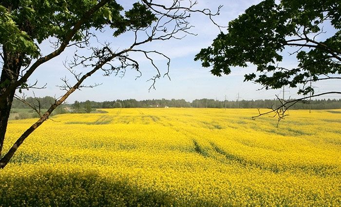 Biosaimniecības – pret, pārējie lieto