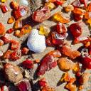 Attēls rakstam: “Brangi gabaliņi!” Jūrmalā sākusies dzintara mednieku ražas sezona