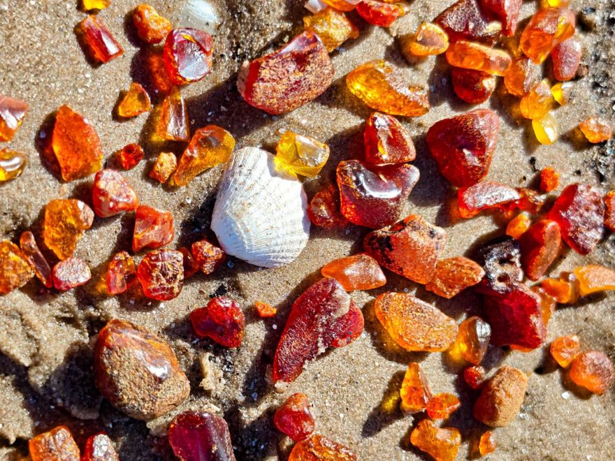 “Brangi gabaliņi!” Jūrmalā sākusies dzintara mednieku ražas sezona