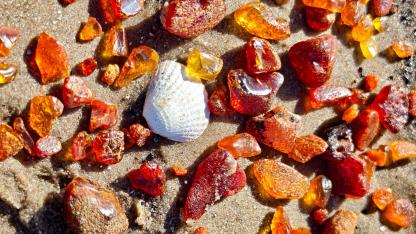 Attēls rakstam: “Brangi gabaliņi!” Jūrmalā sākusies dzintara mednieku ražas sezona