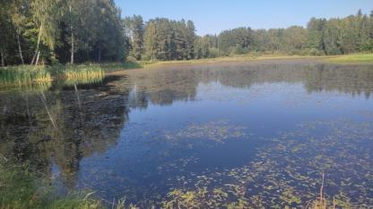 Attēls rakstam: Brikšņus un dūņas nomainīs zvilnis un īrisi: Mores pagastā taps jauna atpūtas vieta