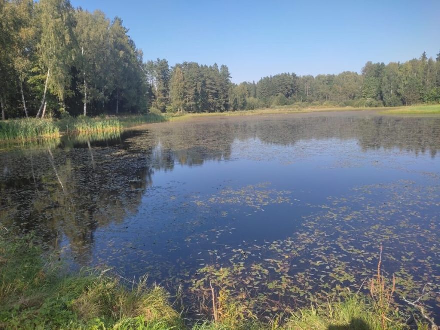 Brikšņus un dūņas nomainīs zvilnis un īrisi: Mores pagastā taps jauna atpūtas vieta