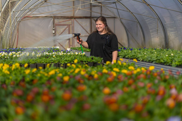 Foto: Pavasara dobes Jūrmalā piepildīs tūkstošiem ziedu