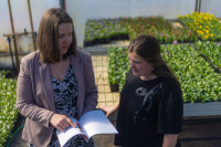 Foto: Pavasara dobes Jūrmalā piepildīs tūkstošiem ziedu