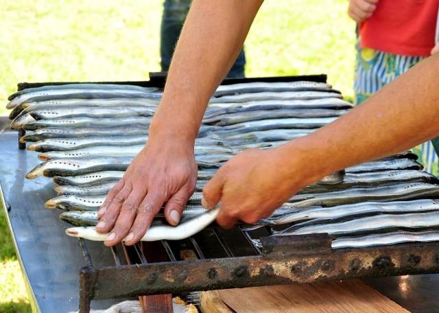 Carnikavā gaidāmi tradicionālie Nēģu svētki ar zupas vārīšanu un nēģu ātrēšanas sacensībām