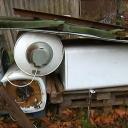 Attēls rakstam: Carnikavā viens pats starp metāllūžņiem dzīvo suns