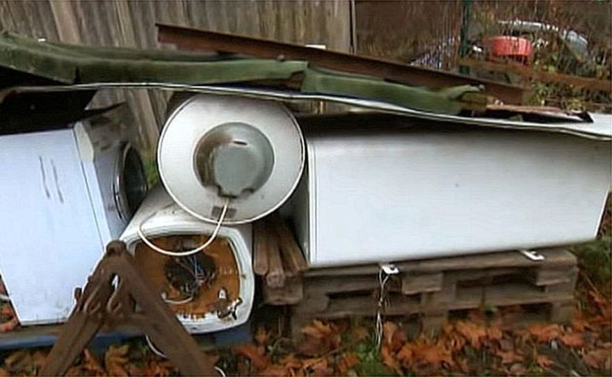 Carnikavā viens pats starp metāllūžņiem dzīvo suns