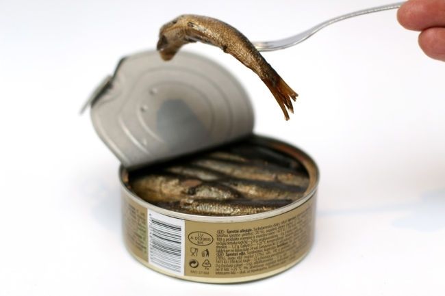 "Carnikavas konservi": Nēģi, šprotes... un galā bankrots