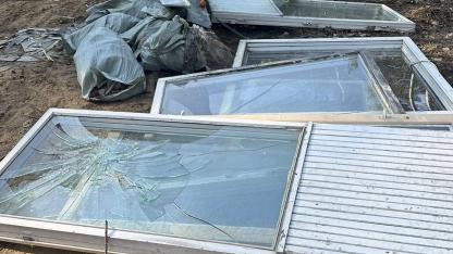 Attēls rakstam: “Cik ilgi tas turpināsies?” Sieviete Dreiliņu mežā fiksē bezatbildīgu rīcību