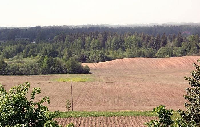 CSP: Lauku saimniecības kļūst lielākas, bet to skaits samazinās