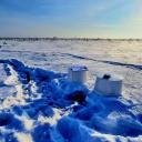 Attēls rakstam: Daba mainās mūsu acu priekšā