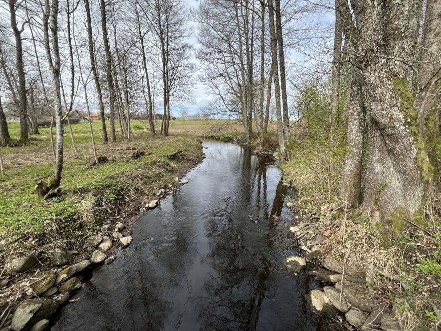 Dabas fonds Pierīgas iedzīvotājus un viesus aicina iepazīt Aģes upi