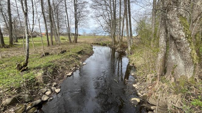 Attēls rakstam: Dabas fonds Pierīgas iedzīvotājus un viesus aicina iepazīt Aģes upi