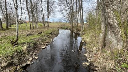 Attēls rakstam: Dabas fonds Pierīgas iedzīvotājus un viesus aicina iepazīt Aģes upi