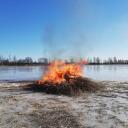 Attēls rakstam: Dabas jeb mūsu kopējā dārza aizsardzība – prātīga un gudra kopšana (2.daļa)