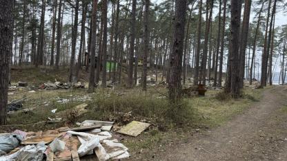 Attēls rakstam: "Dāčnieki..." Carnikavā pie Dzirnezera paveras nepatīkami skati