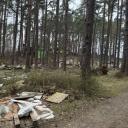 Attēls rakstam: "Dāčnieki..." Carnikavā pie Dzirnezera paveras nepatīkami skati