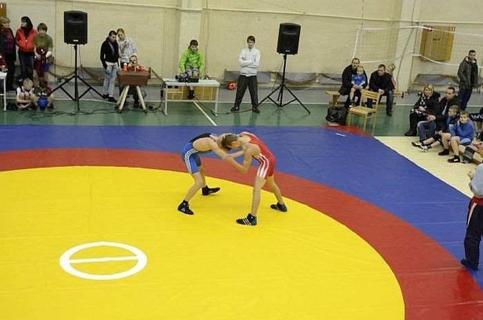 Daugmales sporta spēles