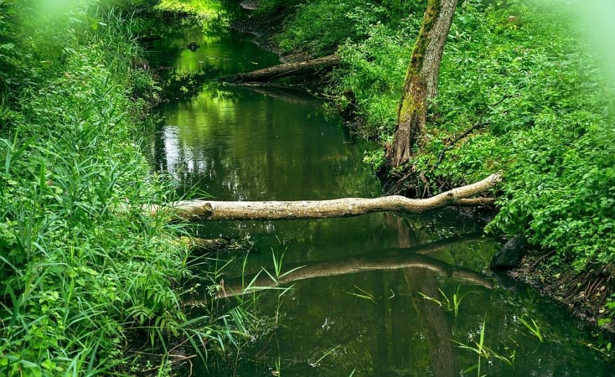 Desmit padomi, kas jāņem vērā, talkojot upju tuvumā