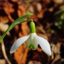 Attēls rakstam: Desmit vietās labots 11. marta siltuma rekords