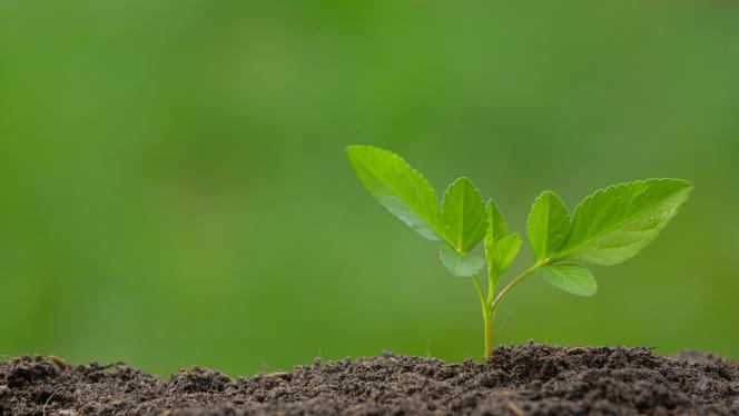 Attēls rakstam: Eiropas finansējumu uzņēmējdarbības zaļināšanai prioritāri piešķirs projektiem Saulkrastu, Limbažu, Ogres un Tukuma novados